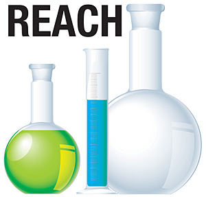 REACH检测