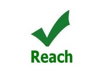 REACH检测