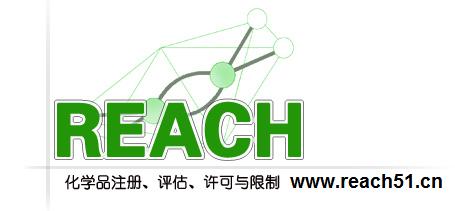 REACH46ⱨ/REACH46׼/REACH46嵥