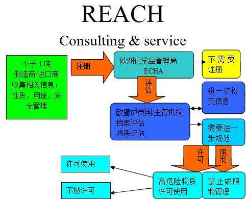 reach֤