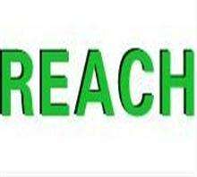 reach֤