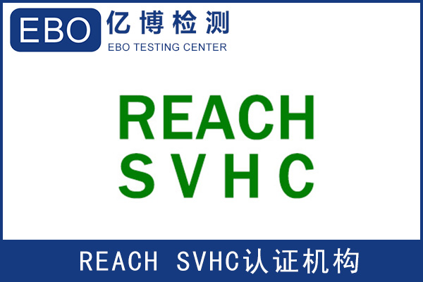 REACHSVHC