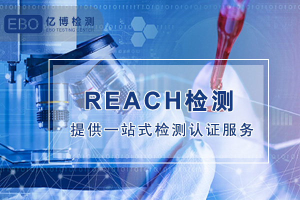 ѷƷôREACH