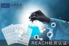 REACH-ӲƷREACHⱨ-REACH֤