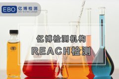 REACH 鱨 ҪǮ